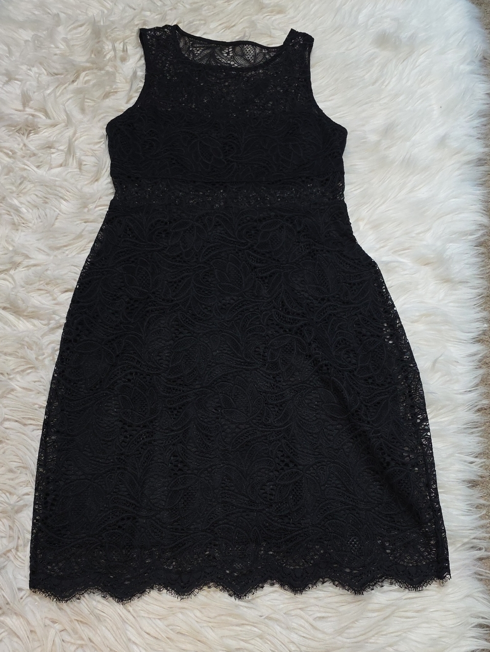 Express Lace Sheer Dress- XS
